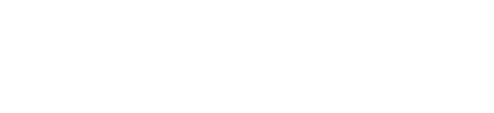 BVS logo wit